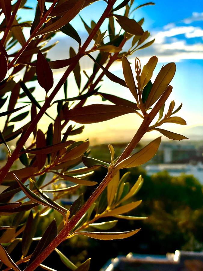Rooftop Apartement - Quartier Croisette - Esc'Appart Cannes Buitenkant foto
